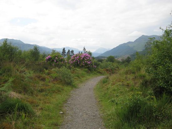 Der Weg Richtung Rowardennan