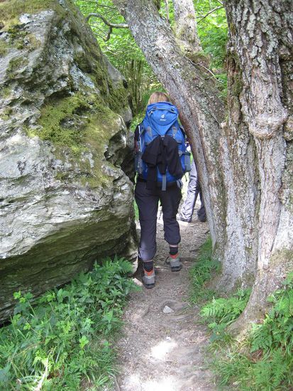 Der Weg ist ganz schön eng ...