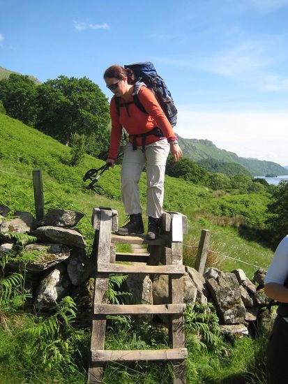 ... mal wieder ein "Schafmäuerchen" ...