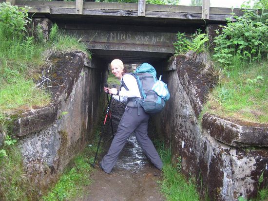 "Mind your head" ... das muss selbst Jacqi aufpassen!
Diese Unterführung wurde ursprünglich für Schafe gebaut!