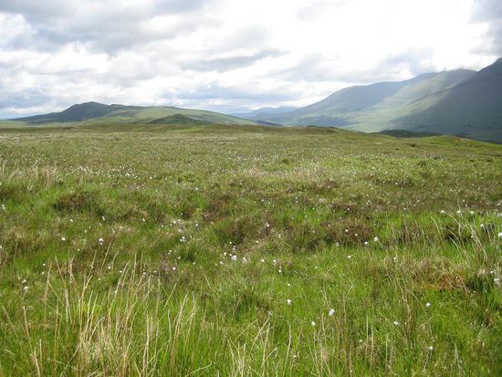 Rannoch Moor