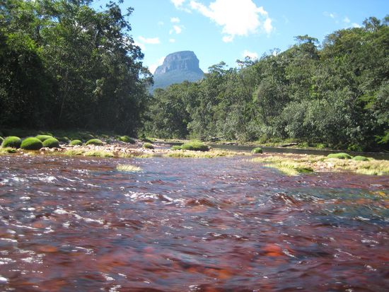 Rio Churún