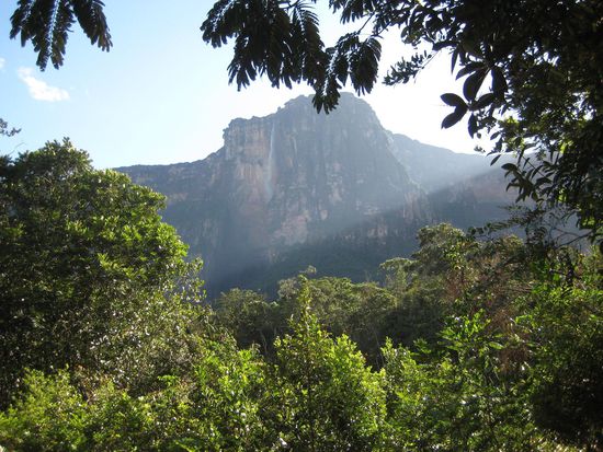 Salto Angel vom Camp aus