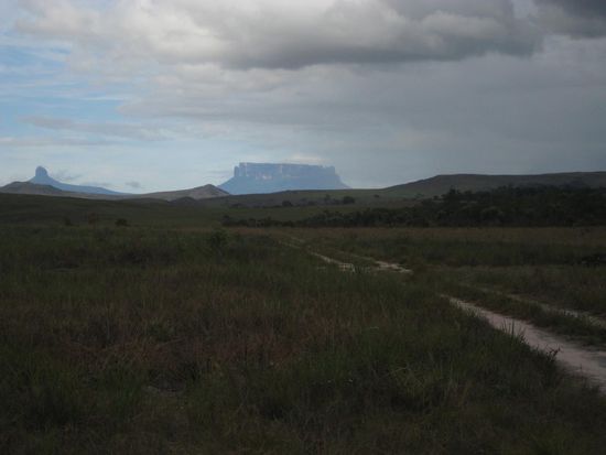 Wadakapiapué- und Yuruaní-Tepui
