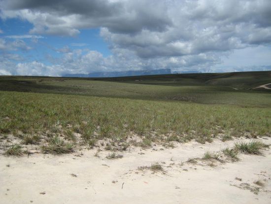 Kukenán- und Roraima-Tepui