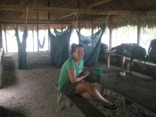 Unsere Hängematten haben nagelneue Mosinetze