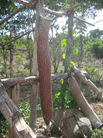 ... dann in diesen Formen getrocknet ...