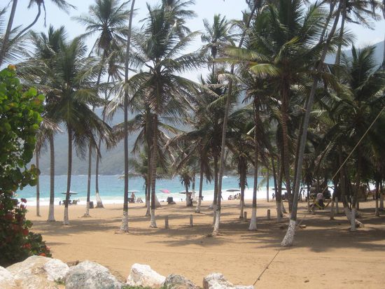 Playa Grande