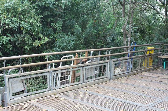 Jede Menge Trittleitern ...