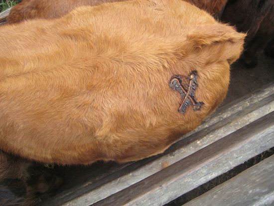 Das Brandzeichen der Estancia Panagea