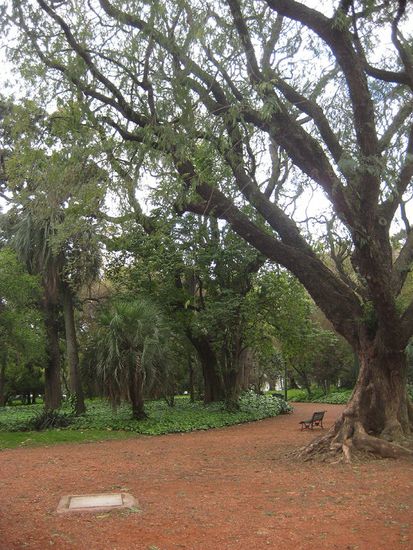 Jardín Botánico Carlos Thays