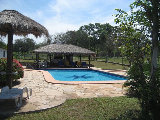Der Pool
