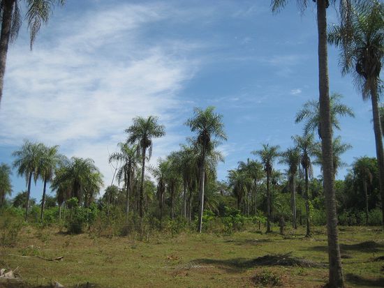 So siehts rund um die Estancia aus