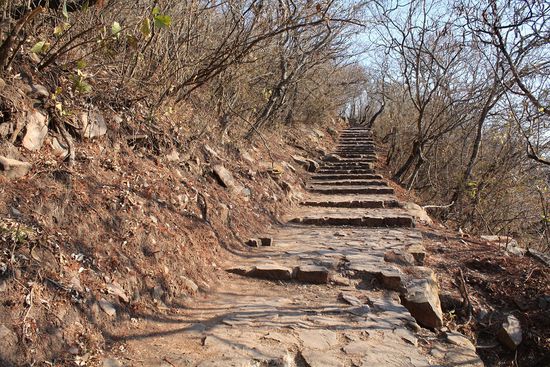 Es geht viele Treppen hoch ...