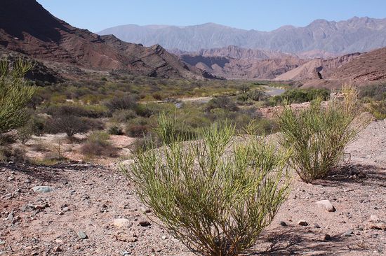 Quebrada de Cafayate