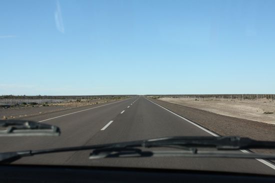 Das ist die Straße nach Süden: plattes Land, kerzengeradeaus, rechts und links ein Zaun ... hier müssen millionenkilometer Zaun verbaut sein ...