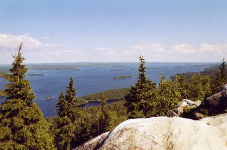 Blick vom Ukko Koli auf den Lake Pielinnen