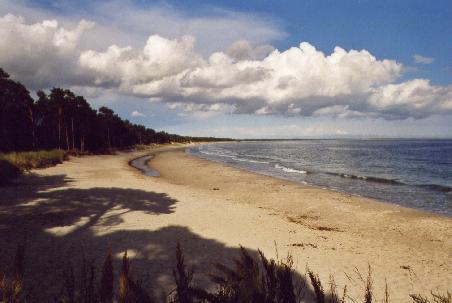 Strand in der Nähe von Ystad