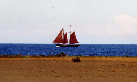 Segelschiff an der schwedischen Südküste