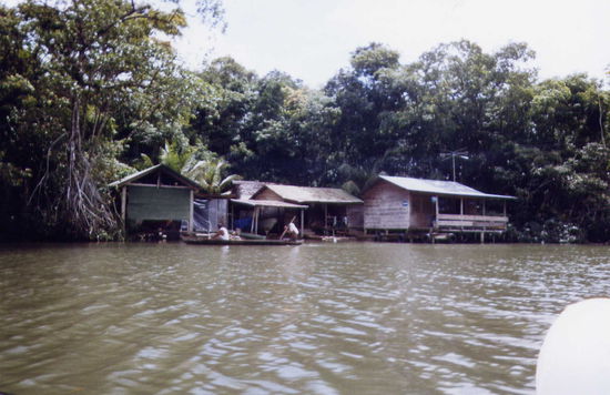 irgendwo am Rio Dulce