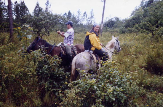 Es hat aufgehört zu regnen ...