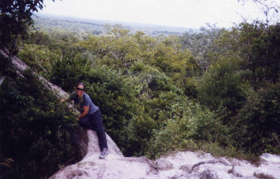 Wald wohin das Auge reicht ...