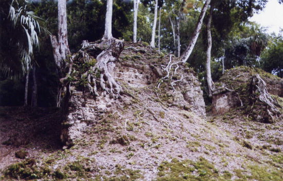 Früher oder später erobert die Natur sich alles zurück ...