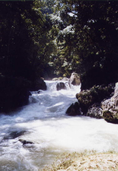 Der Fluß, der sich in Semuc Champéy dann in den "oberen" und in den "unterirdischen" teilt