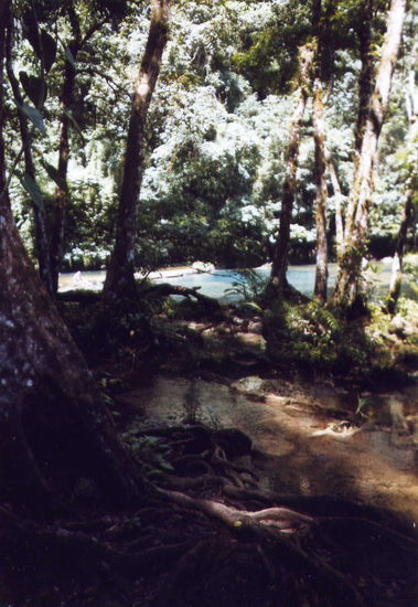Semuc Champéy