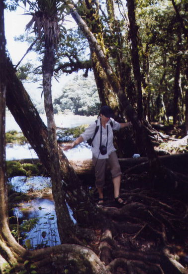 Der "Weg" ist ganz schön "uneben" ... 