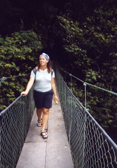 ... eine der Hängebrücken ...