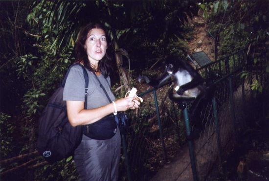 Der Spider Monkey ist ganz wild auf Bananen ...