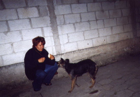 Petras Freund der Straßenköter