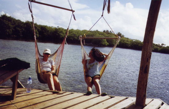 die Affen waren nicht so interessant ... die Hängestühle dafür umso toller!