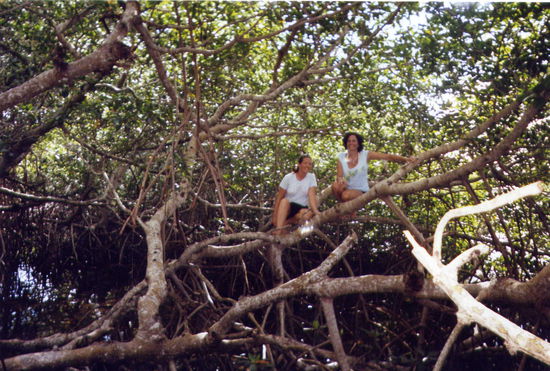 Jennifer und ich ...