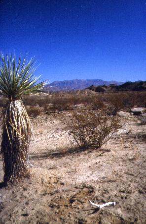 An der Old Maverick Road