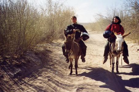 Auf zwei Eseln gehts nach Boquillas