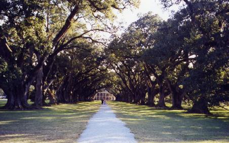 Oak Alley Plantation