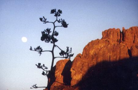 Mond im Big Bend NP