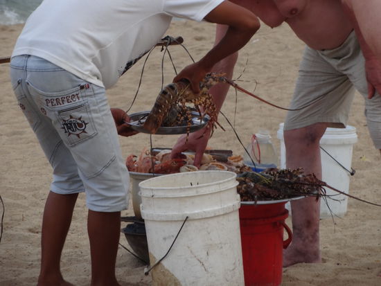Garkueche mit frischem Seafood direkt am Beach!