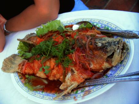 nochmal toter Fisch