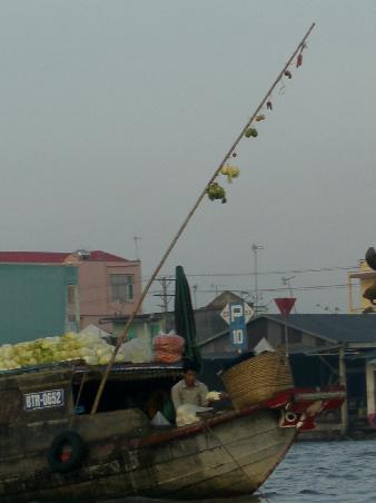 Mast mit den Fruechten des Bootes