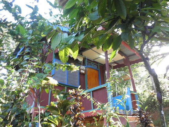 Unser Durian Chalet (zum Glueck mit Kakaobaum vor der Tuer)