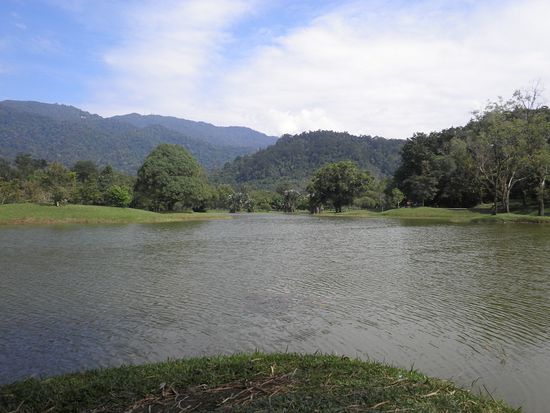 Lake Gardens in Taiping