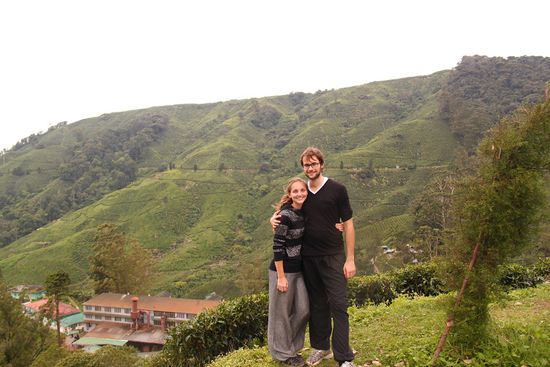 Hoch oben in den Teeplantagen