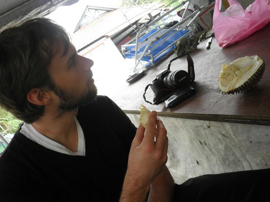 Bendy und die Durian 