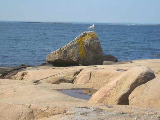 Am Strand von Saltnes