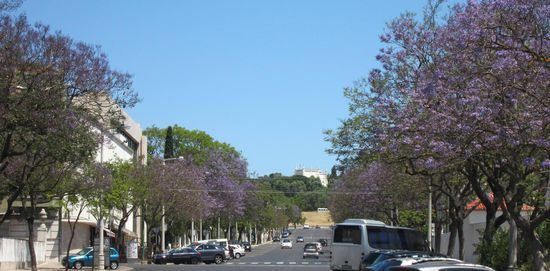 Avenida Dom Carlos I, Lissabon