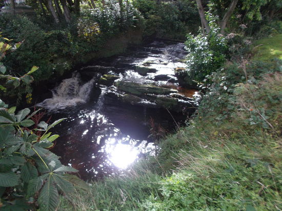 Nahe den Glenashdale Falls