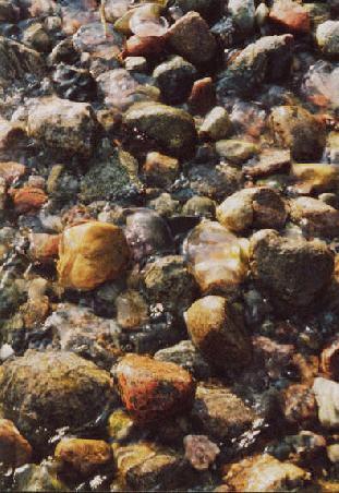 Kiesel am Strand von Göhren.